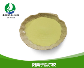 阳离子瓜尔胶（瓜尔胶羟丙基三甲基氯化铵）