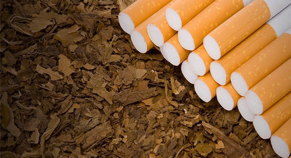 tobacco-industry.jpg